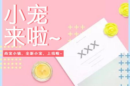 尚寵小鎮(zhèn) | 荷蘭豬豬、土撥鼠、柯爾鴨上線啦！做你貼心小寶貝~
