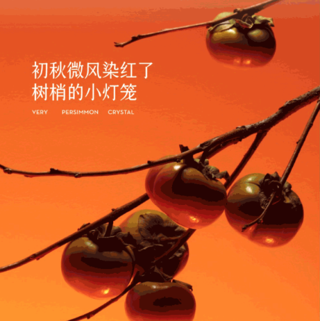 喜茶、茉莉奶白、COCO...5折起